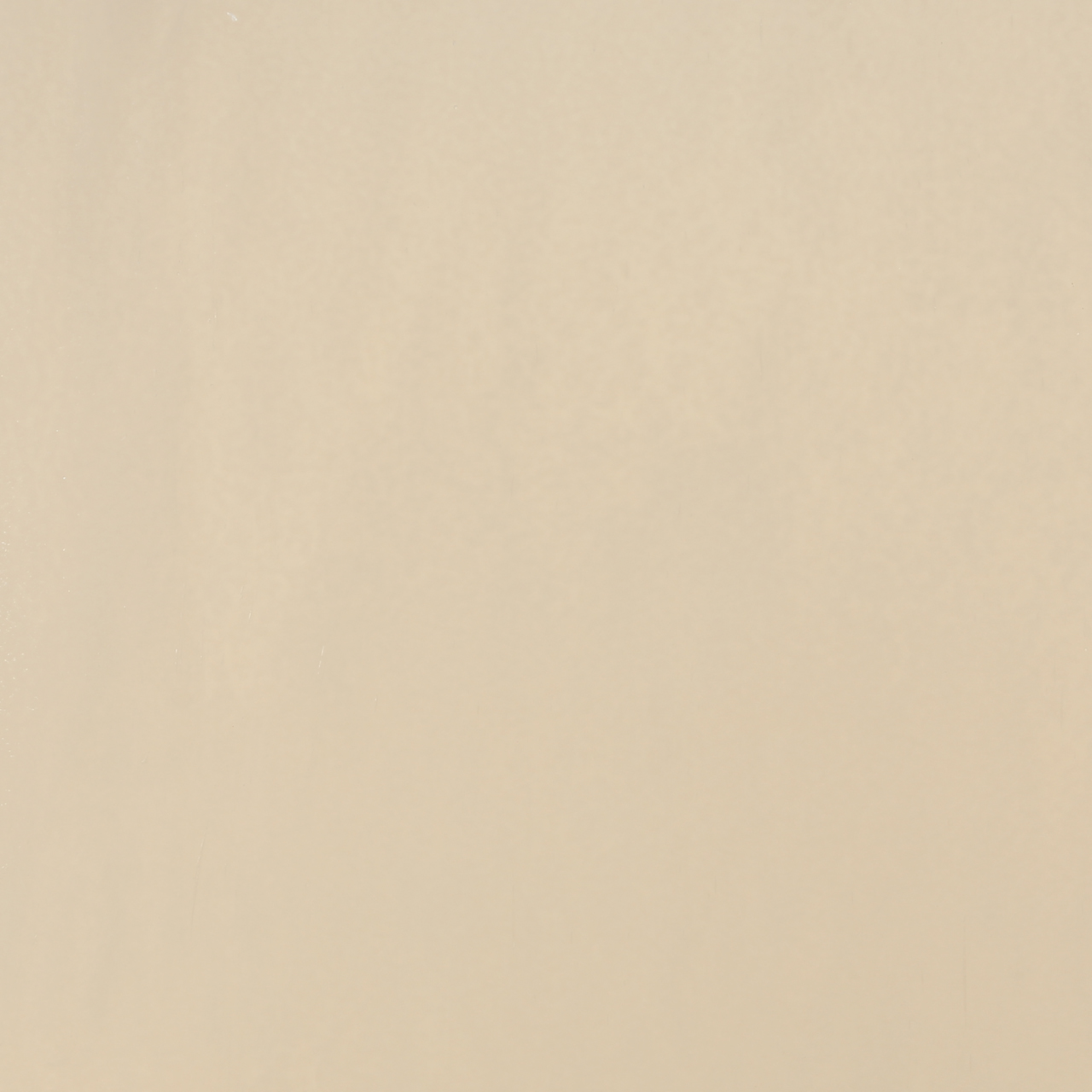 BULLSEYE 0138-50F BULLSEYE 0138-50F