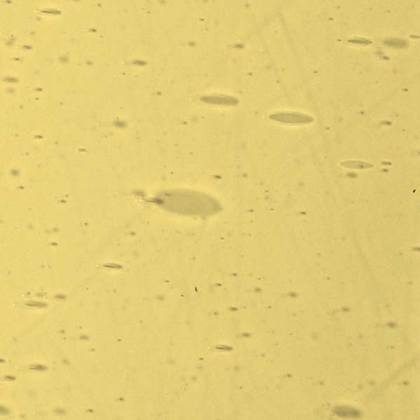 LAMBERTS 2662xx LAMBERTS 2662xx