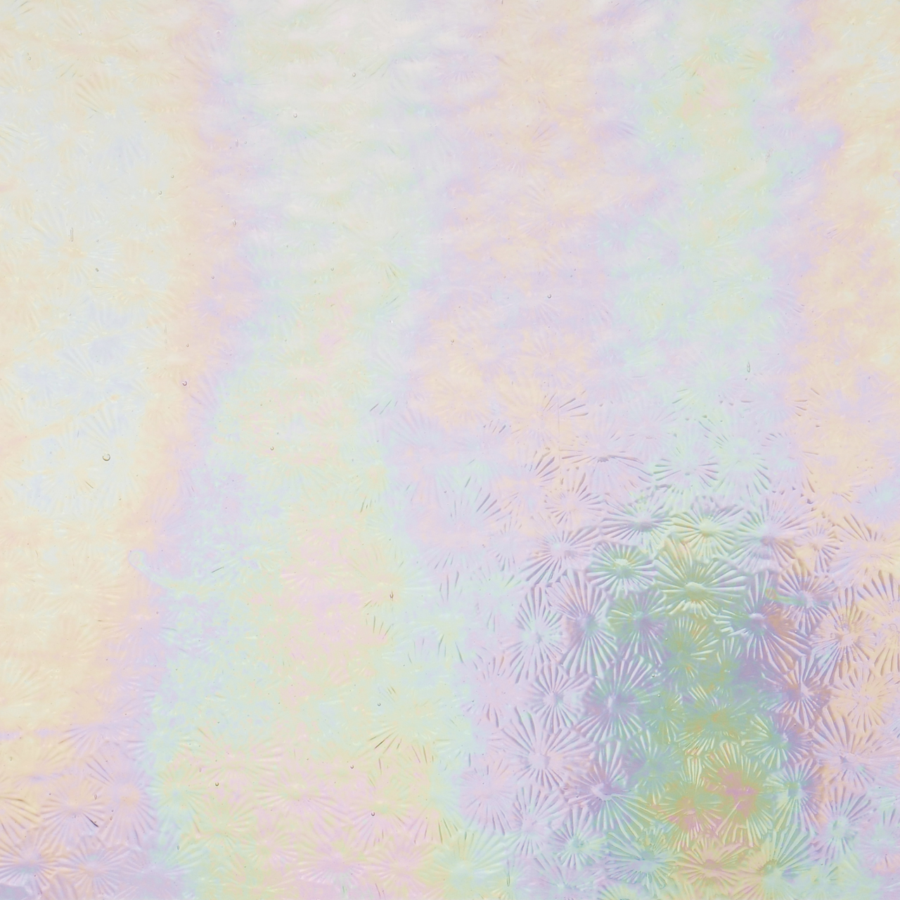 WISSMACH 01 Florentine iri WISSMACH 01 Florentine iri