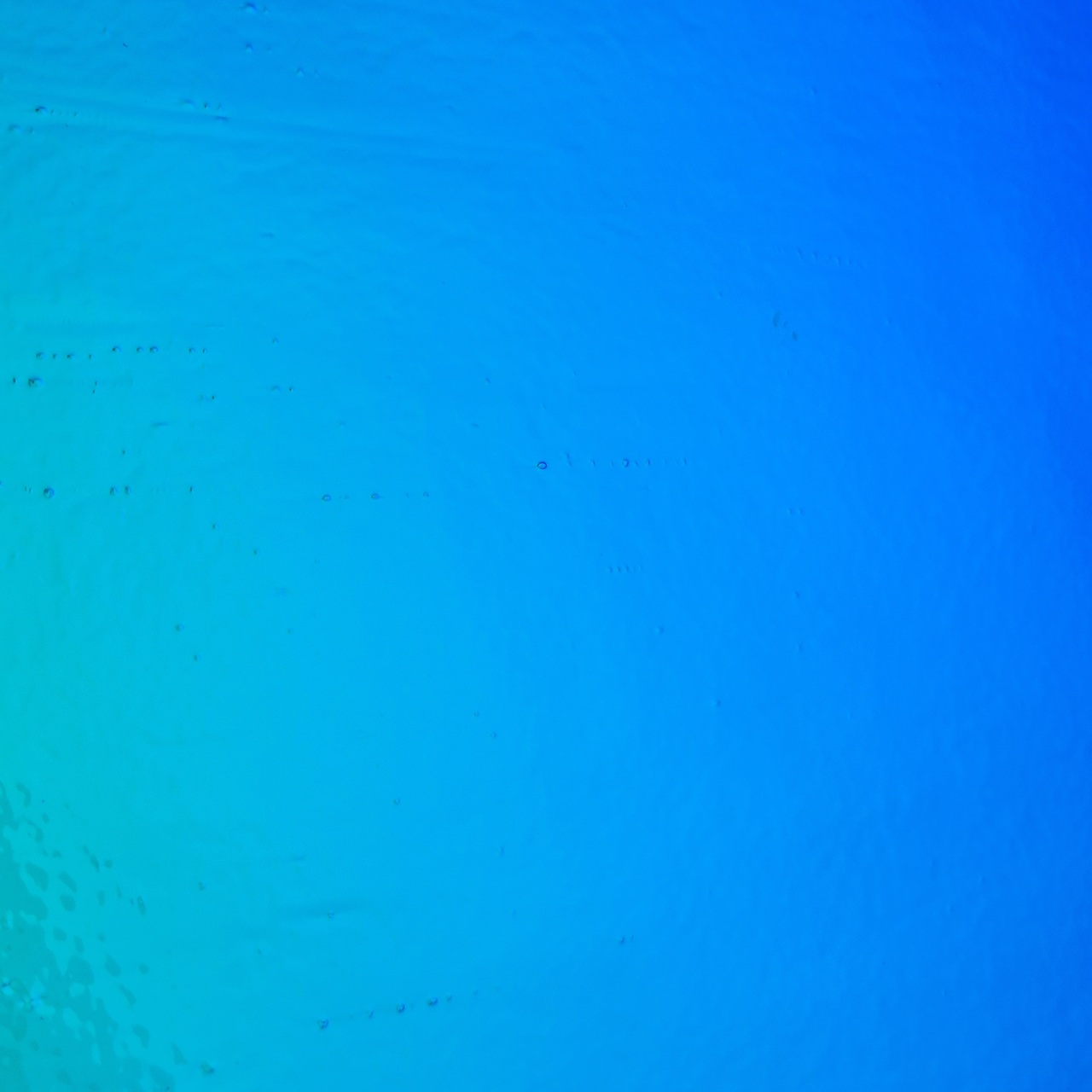 Dichroic 0100-50 P/T AK90 Dichroic 0100-50 P/T AK90