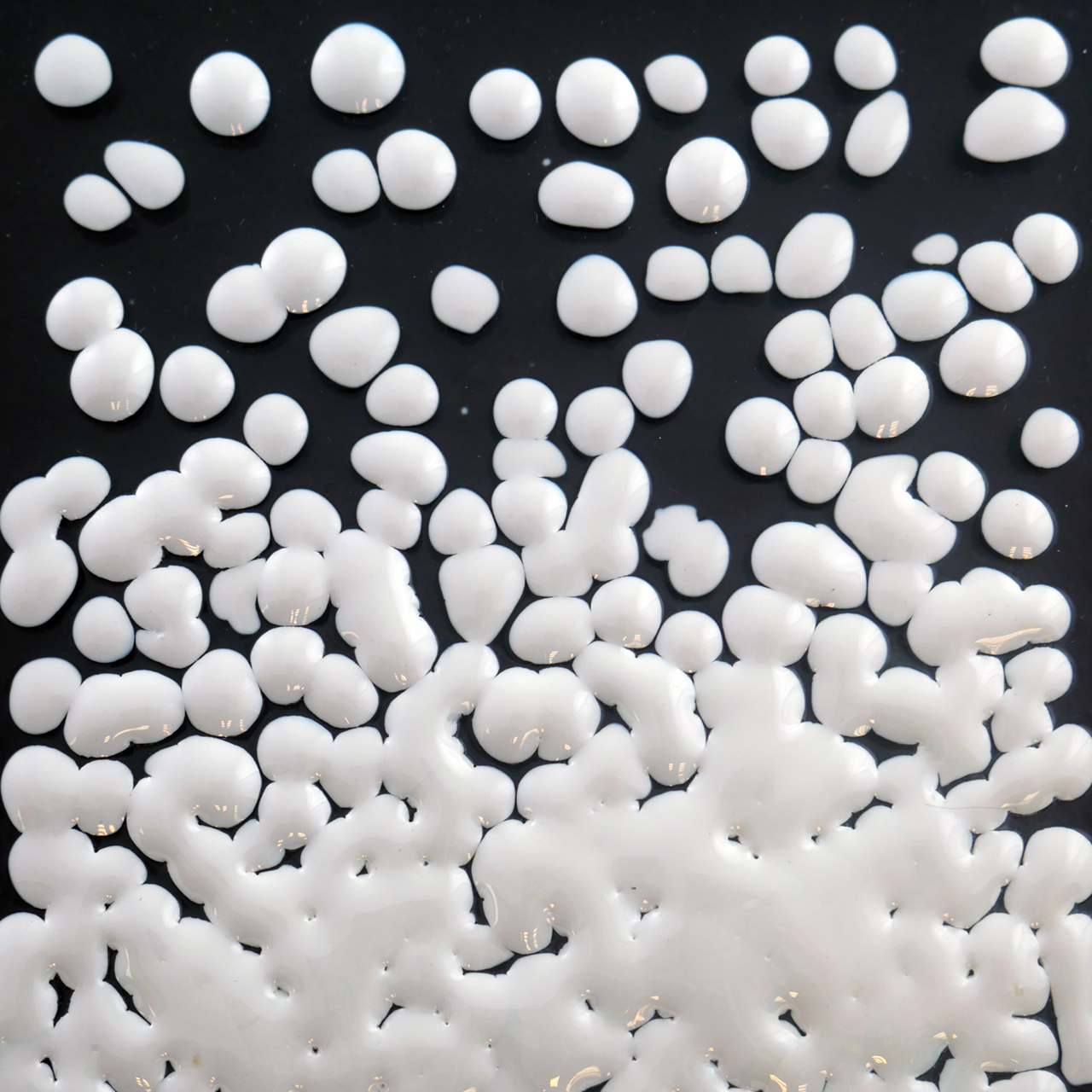 FLOAT-Krösel 3130 250g K-5