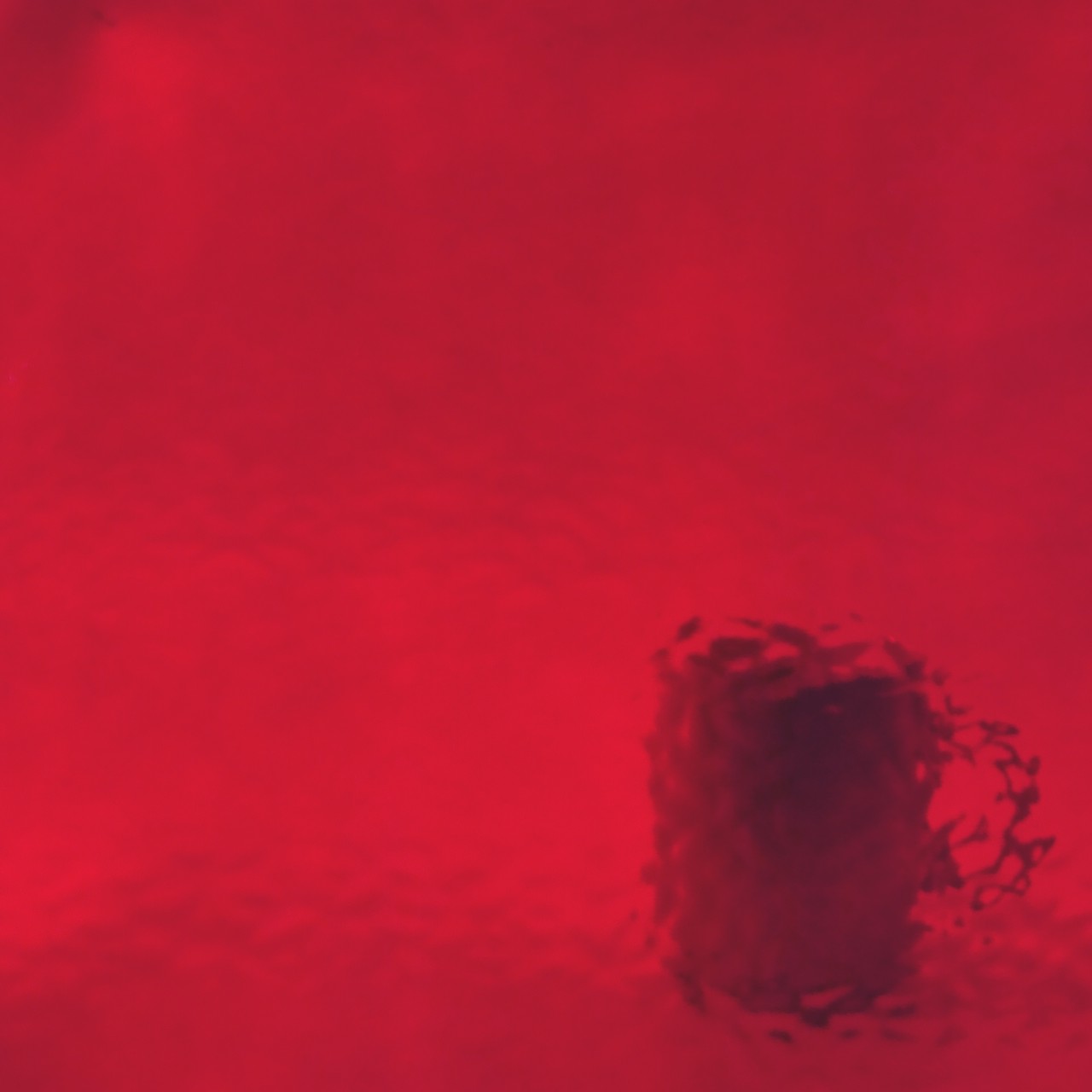 WISSMACH 16x English Muffle WISSMACH 16x English Muffle