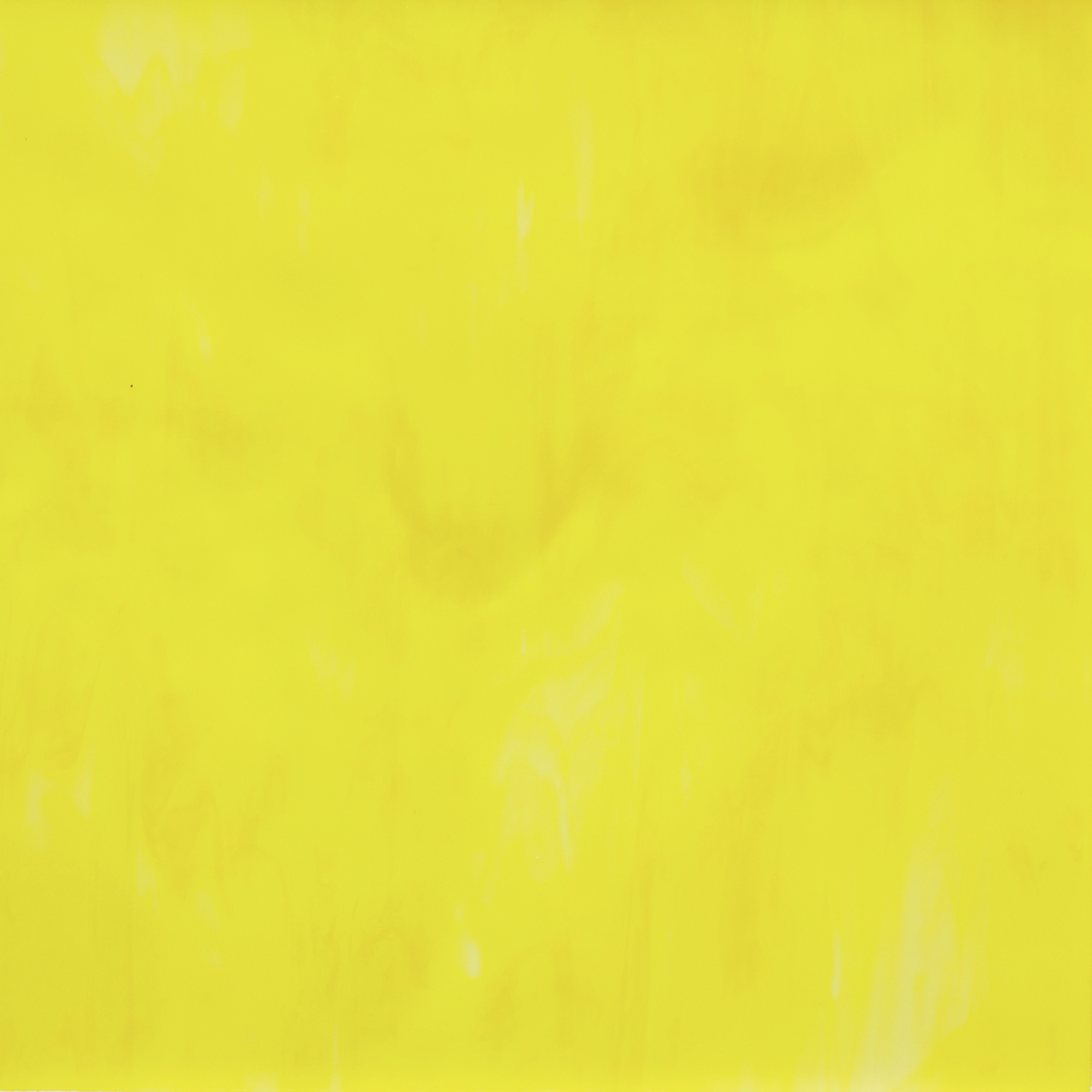 YANG 166