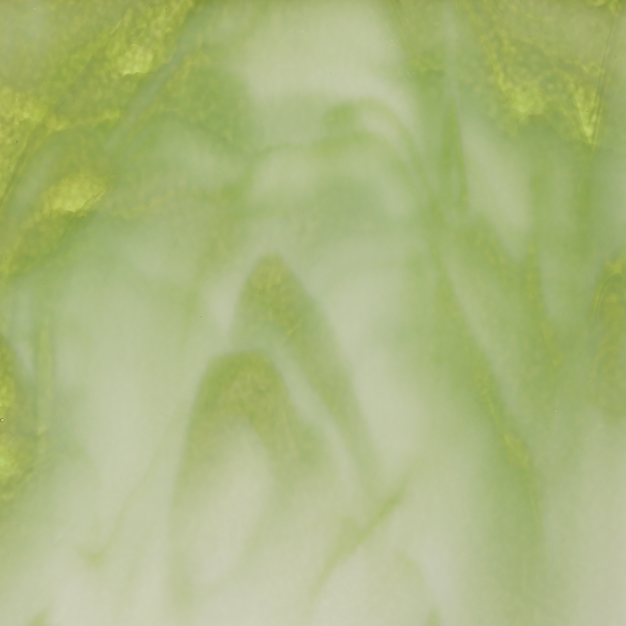 BULLSEYE 2107-30F BULLSEYE 2107-30F