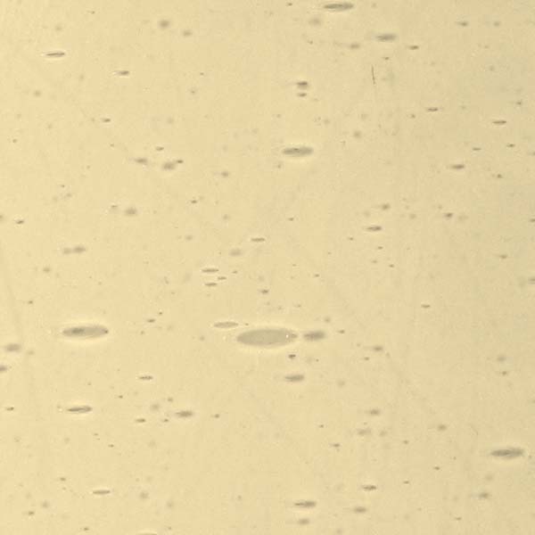 LAMBERTS 148xx LAMBERTS 148xx