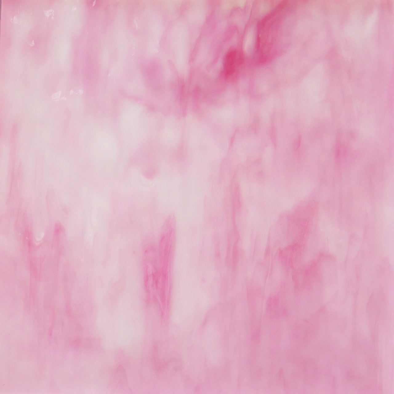YANG IEO rosa