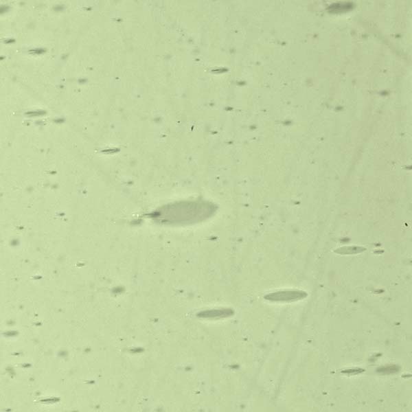 LAMBERTS 2158xx LAMBERTS 2158xx