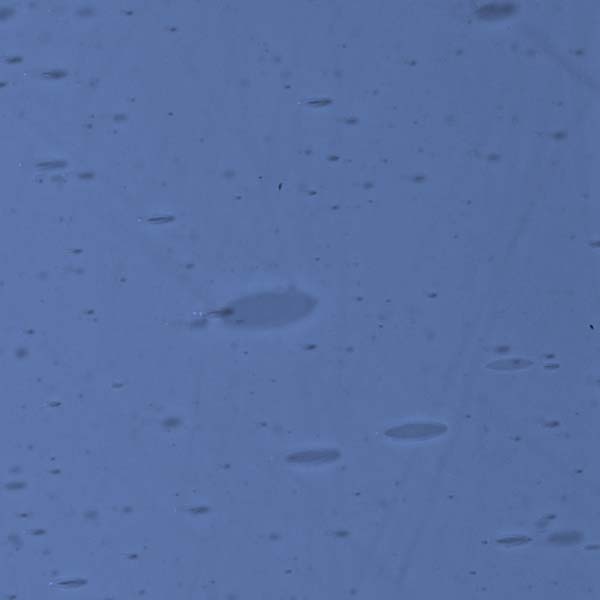 LAMBERTS 926xh LAMBERTS 926xh