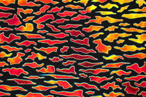 Dichroic Borderline Animals AK 96
