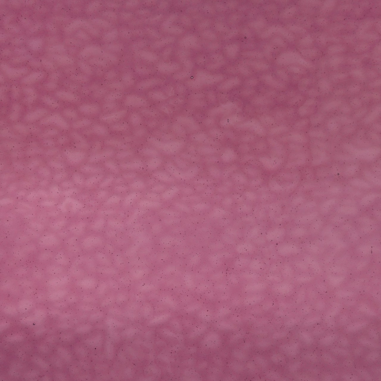 WISSMACH 134 English Muffle WISSMACH 134 English Muffle