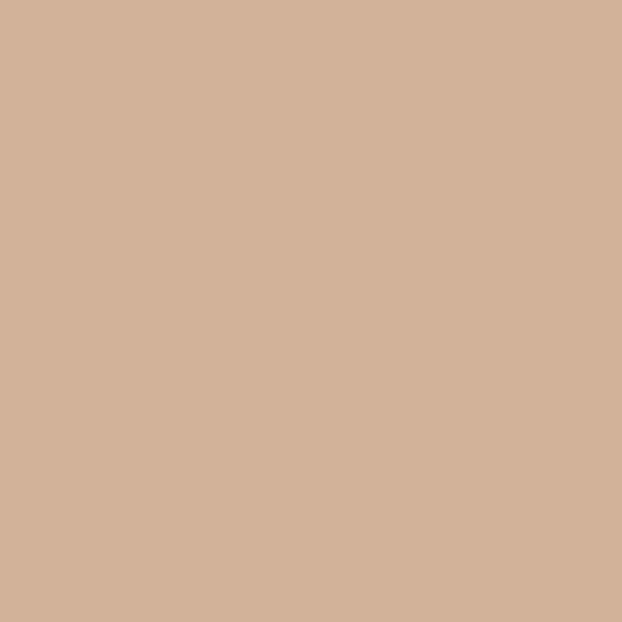 THOMPSON Enamel 5107 (Float) 227g