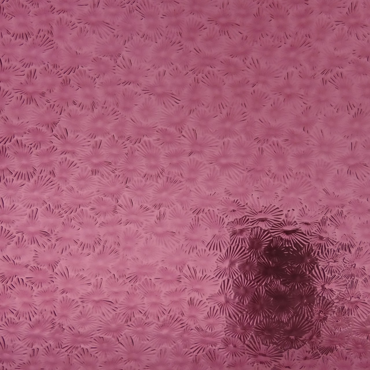 WISSMACH 134 Florentine WISSMACH 134 Florentine