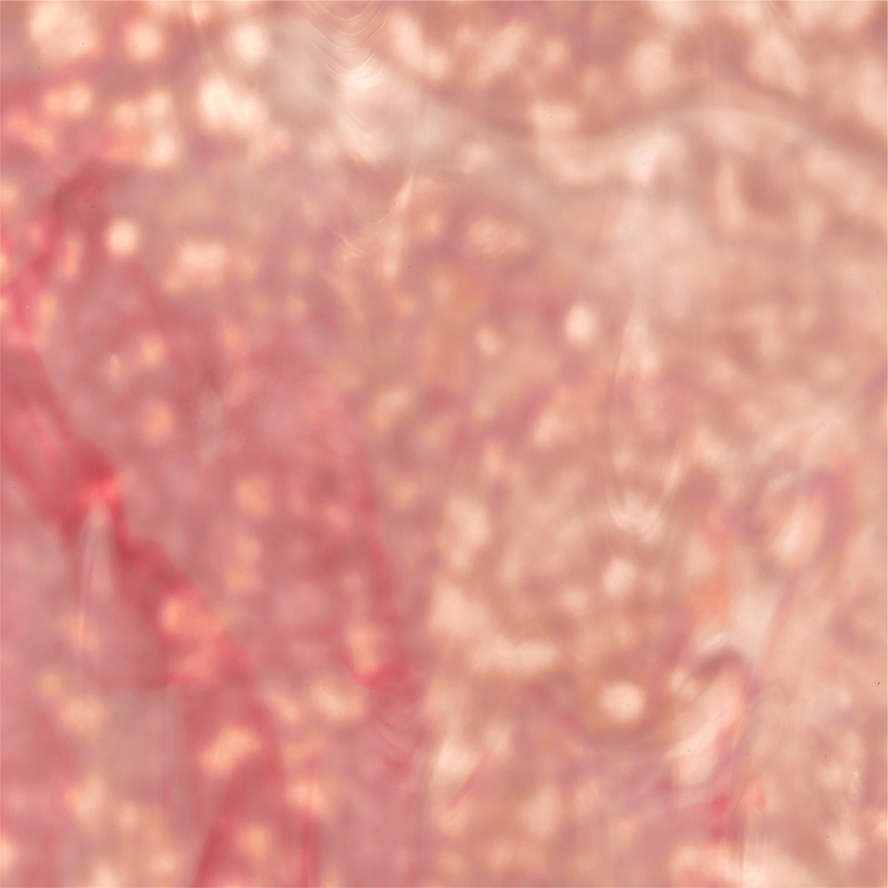 YOUGHIOGHENY 3007 RG YOUGHIOGHENY 3007 RG