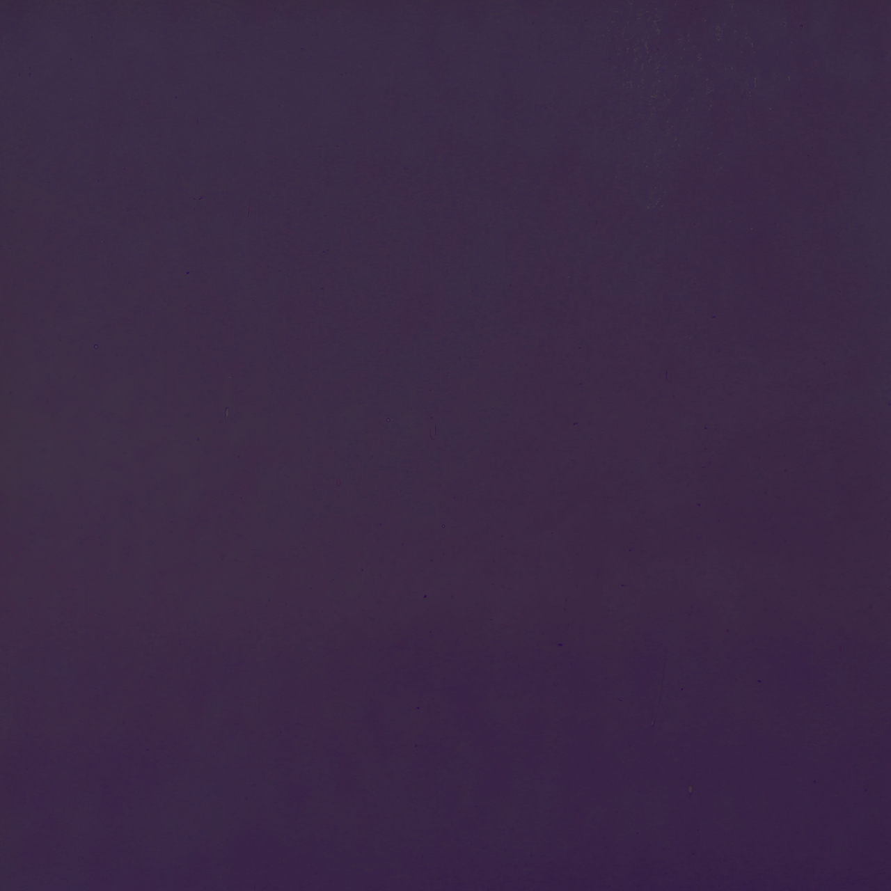 BULLSEYE 0334-30F BULLSEYE 0334-30F