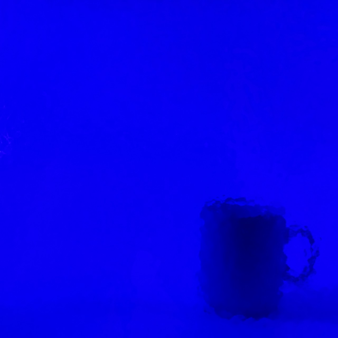 WISSMACH 221 Corella Classic WISSMACH 221 Corella Classic