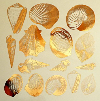 Fusing Decal Muscheln Gold Fusing Decal Muscheln Gold