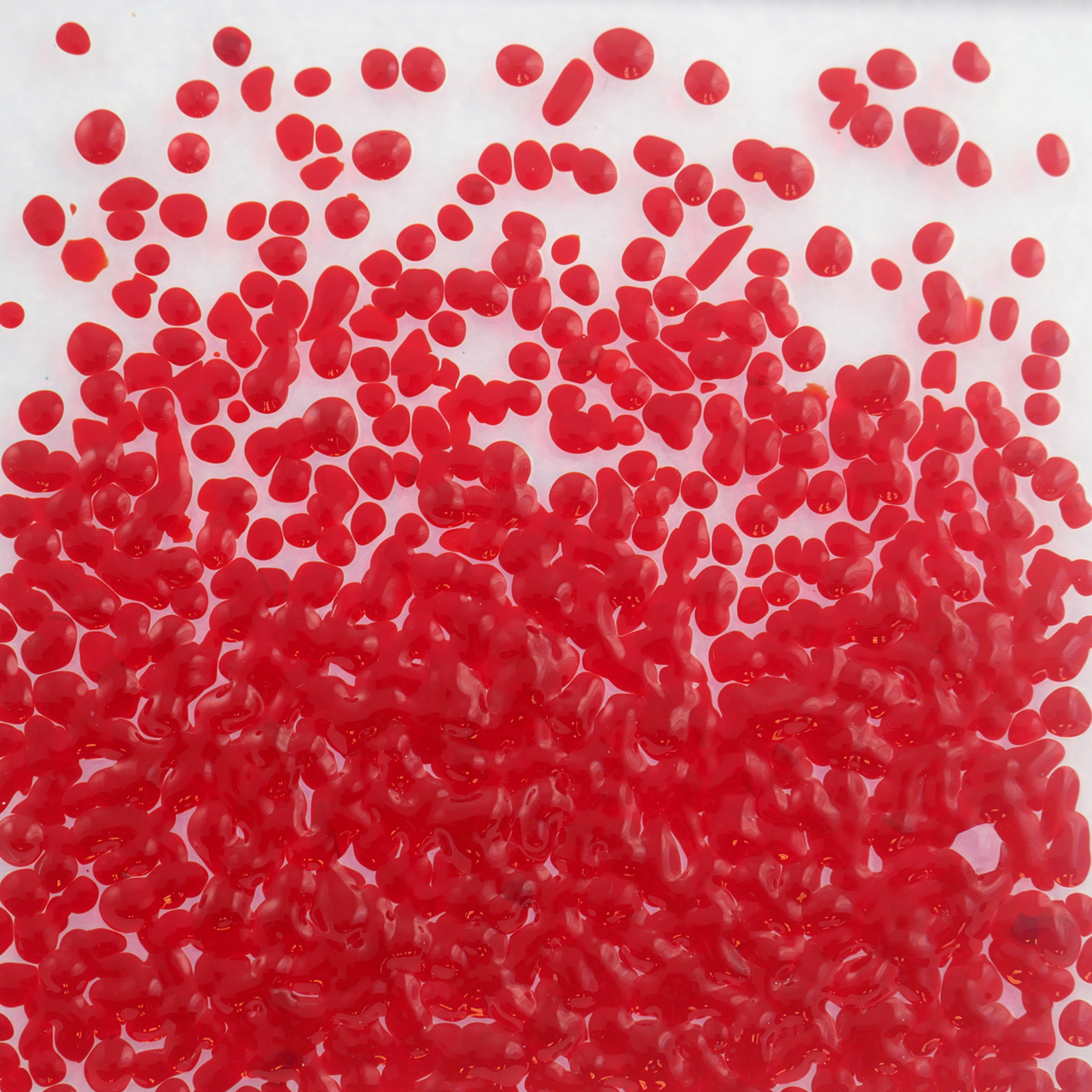 FLOAT-Krösel 2015 BF 1 kg K-4 FLOAT-Krösel 2015 BF 1 kg K-4