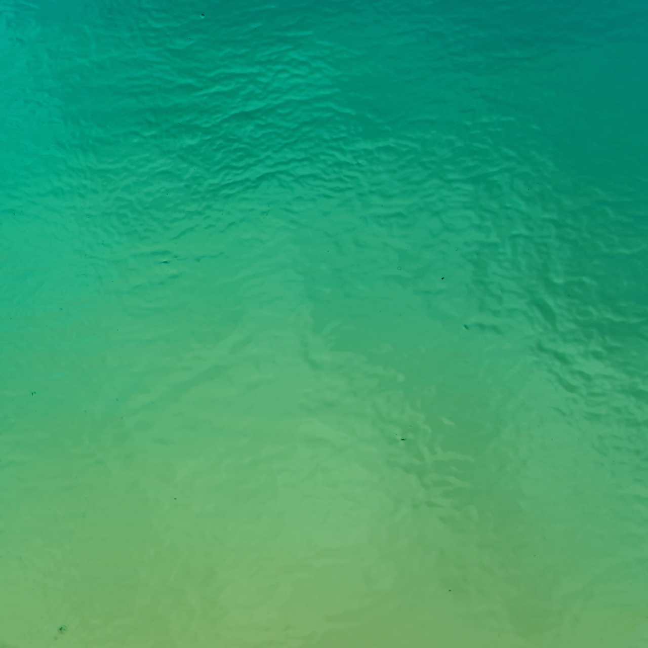 Dichroic 0100-50 M/G AK90 Dichroic 0100-50 M/G AK90