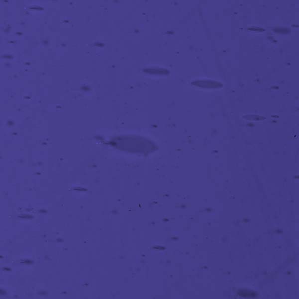 LAMBERTS 1302-F LAMBERTS 1302-F