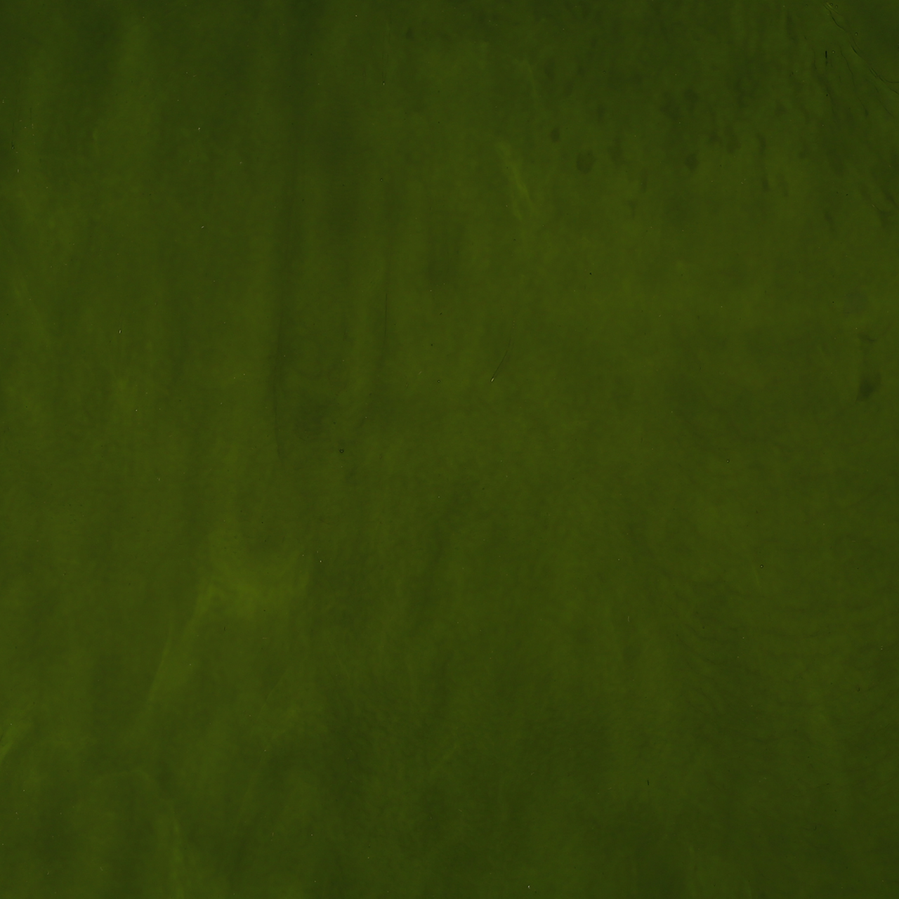 Bullseye Krösel 0141 01 F fein Bullseye Krösel 0141 01 F fein