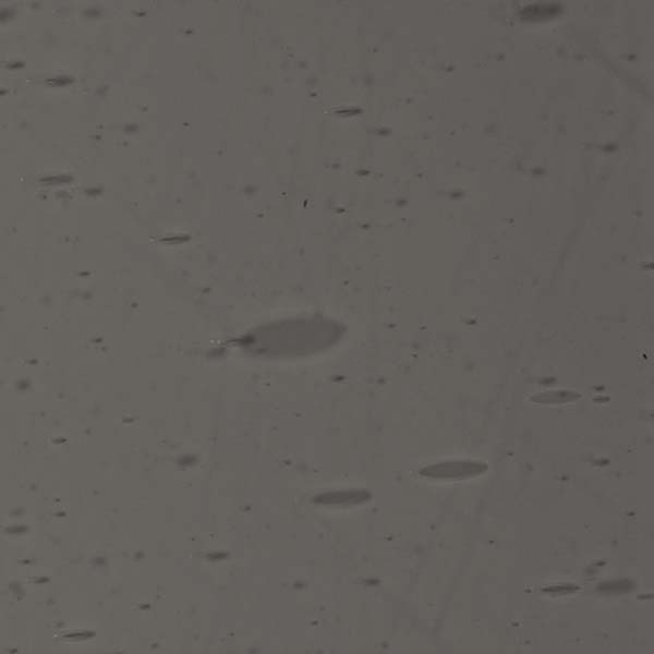 LAMBERTS 2854xx LAMBERTS 2854xx