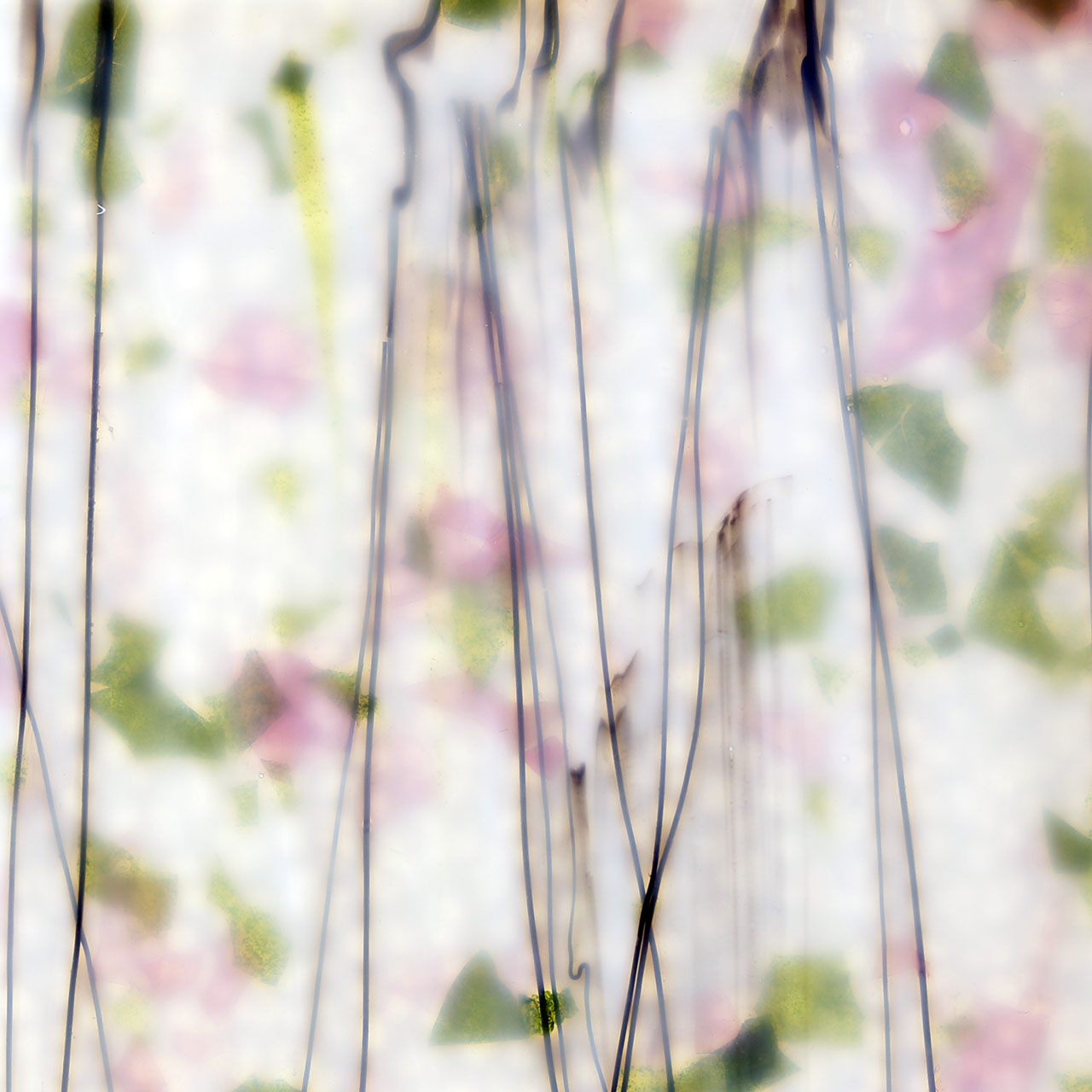 BULLSEYE 4014-00F BULLSEYE 4014-00F