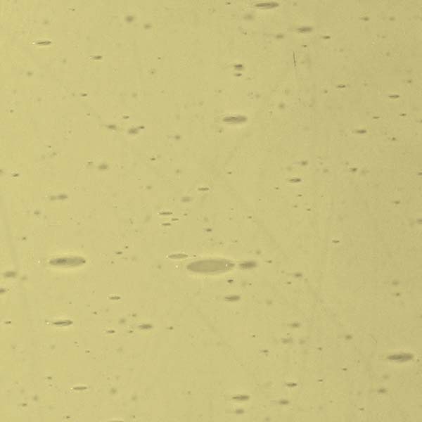 LAMBERTS 245xx LAMBERTS 245xx