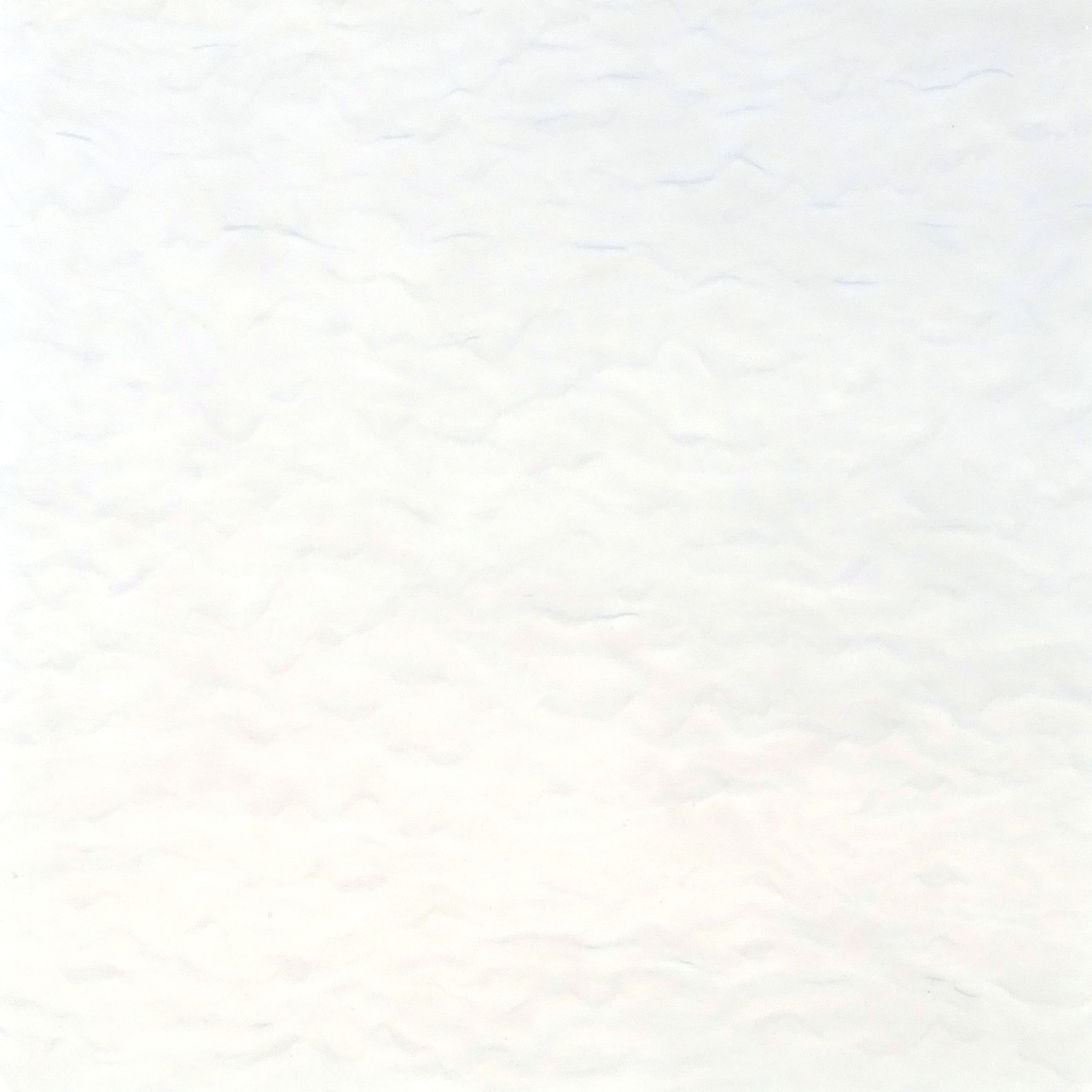 WISSMACH 51 LL G WISSMACH 51 LL G