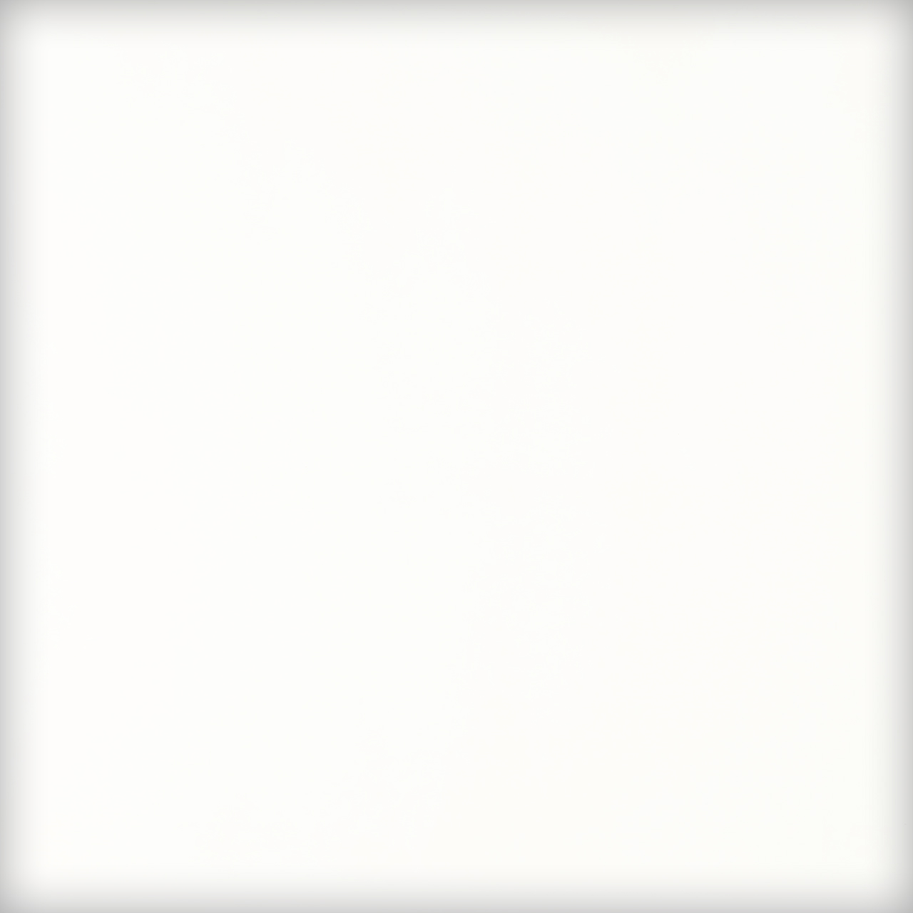 BULLSEYE 0143-30F BULLSEYE 0143-30F