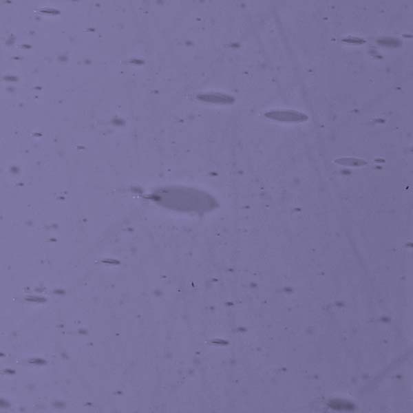 LAMBERTS 3709xx LAMBERTS 3709xx