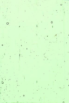 KOKOMO 669 KOKOMO 669