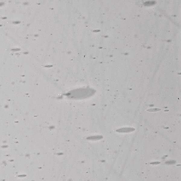 LAMBERTS 1526xx LAMBERTS 1526xx