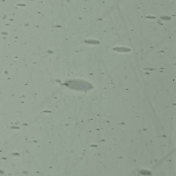 LAMBERTS 463xx LAMBERTS 463xx