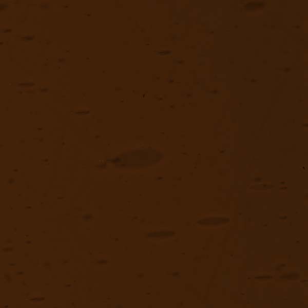 LAMBERTS 899-F LAMBERTS 899-F