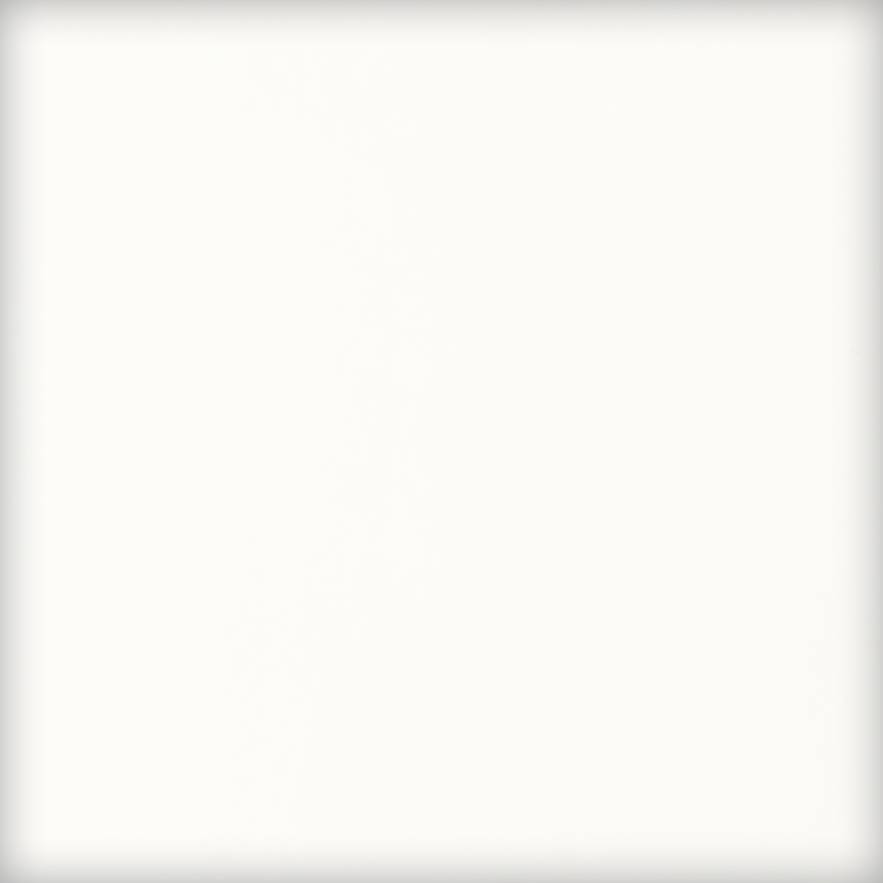 BULLSEYE 0113-00F BULLSEYE 0113-00F