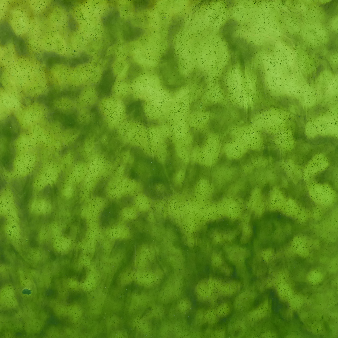 YOUGHIOGHENY 4004 HS YOUGHIOGHENY 4004 HS