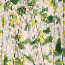 BULLSEYE 4012-00F BULLSEYE 4012-00F