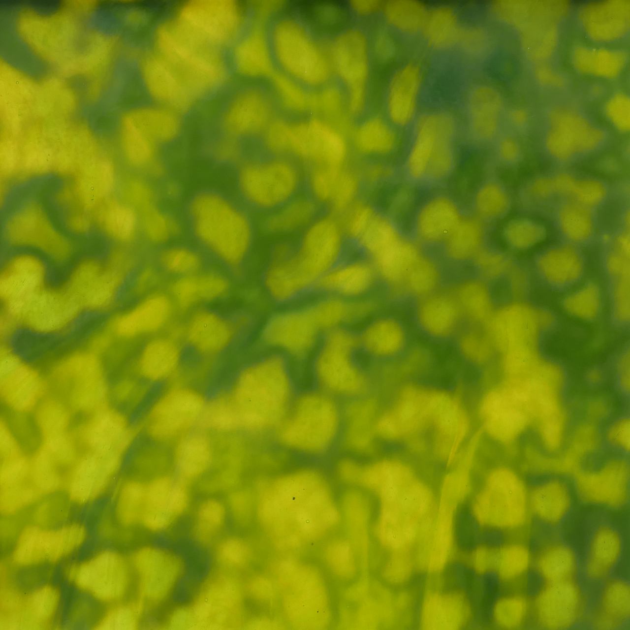 YOUGHIOGHENY 4050 HS YOUGHIOGHENY 4050 HS