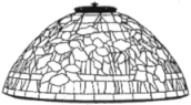 ODYSSEY SM Daffodil T1449