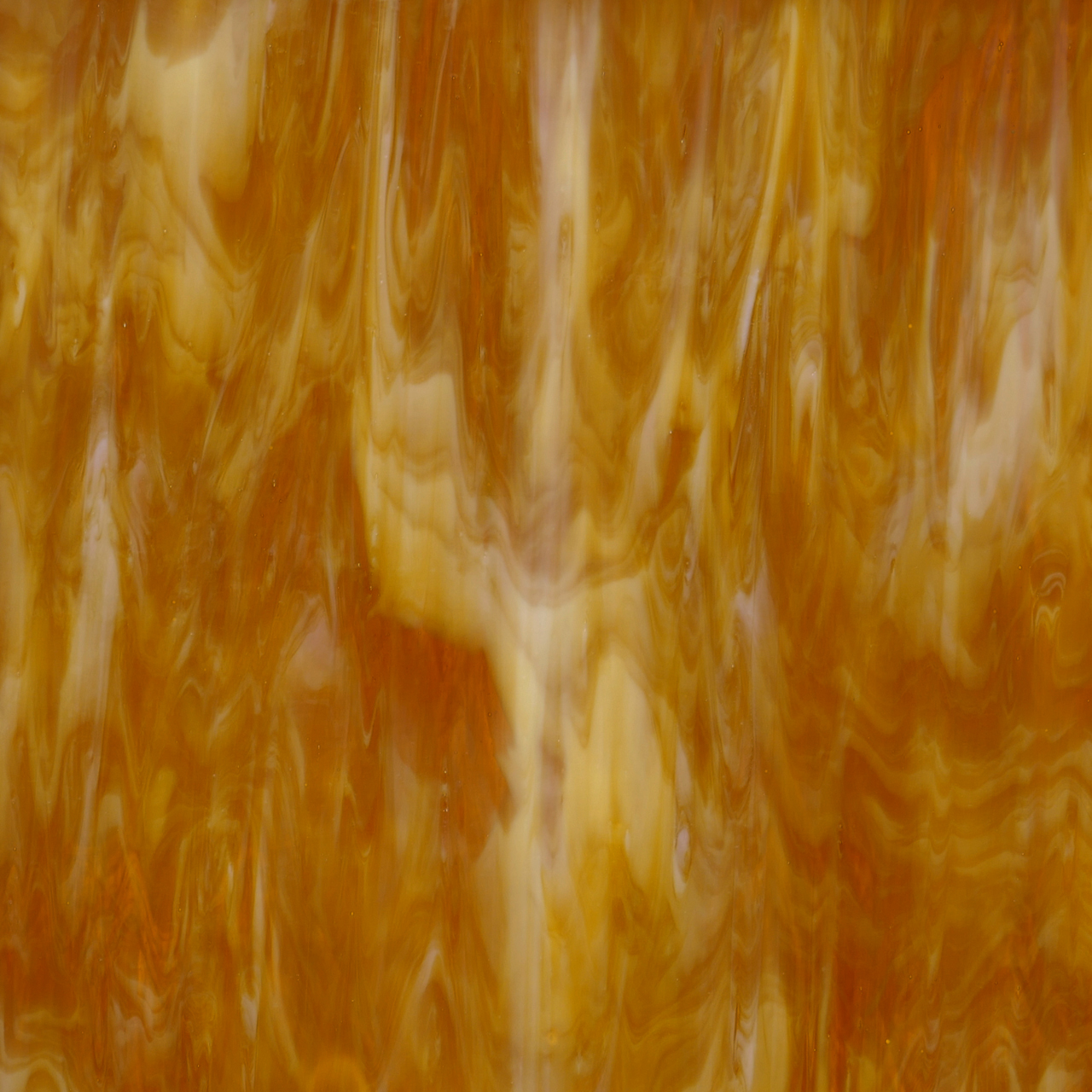 YANG 317-6 YANG 317-6