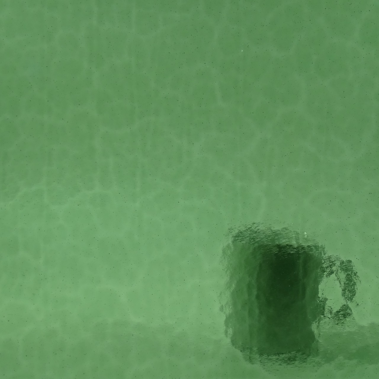 WISSMACH 287 Mystic WISSMACH 287 Mystic