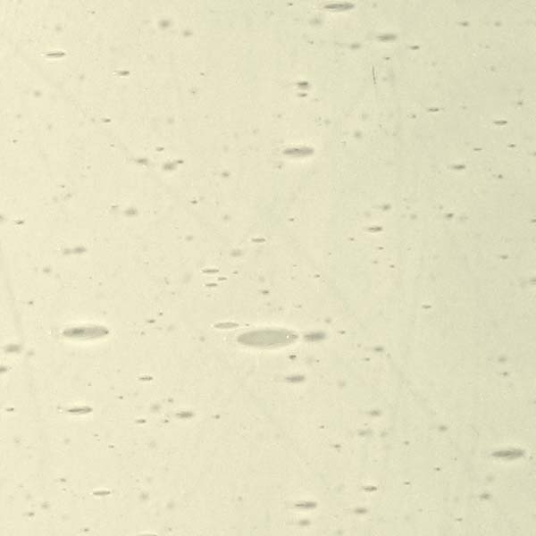 LAMBERTS 193xx LAMBERTS 193xx