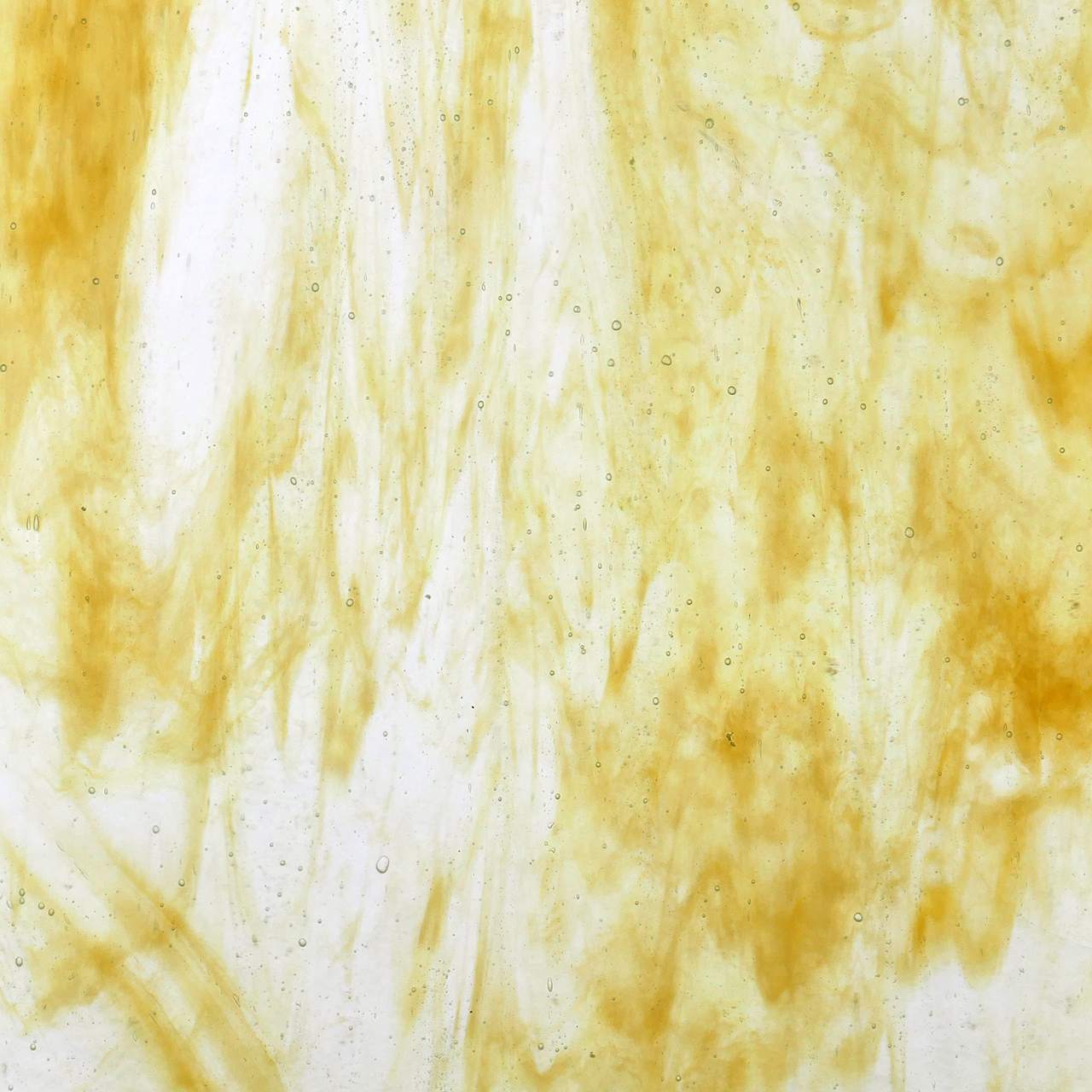 YOUGHIOGHENY Laburnum SP