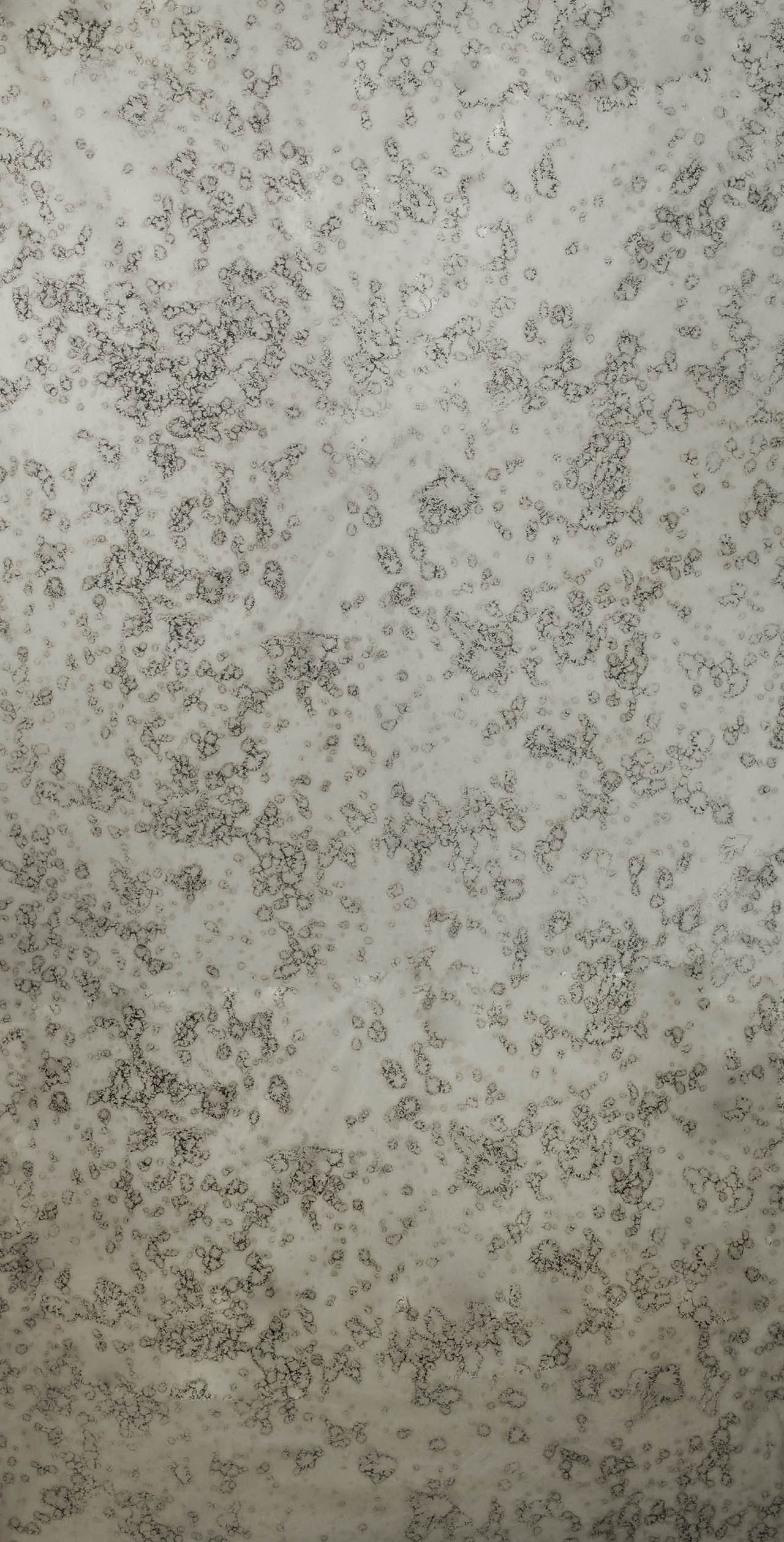 ANTIKSPIEGEL Grigio Argento, 3mm ANTIKSPIEGEL Grigio Argento, 3mm