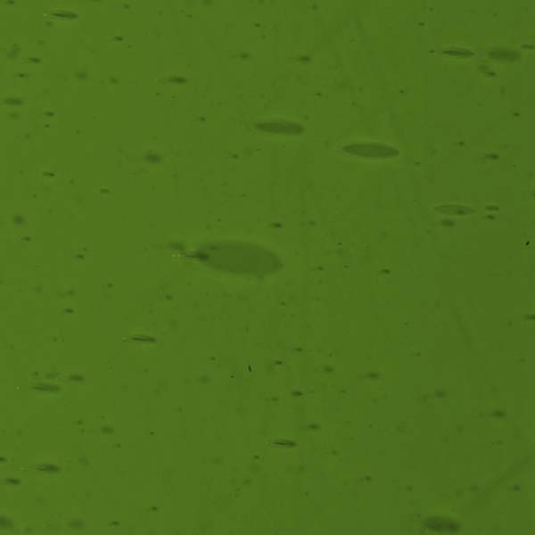 LAMBERTS 1190-F LAMBERTS 1190-F