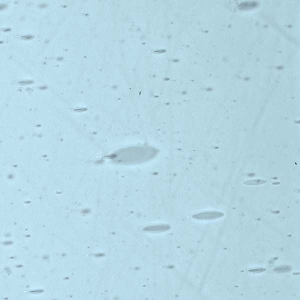 LAMBERTS 1295xx LAMBERTS 1295xx