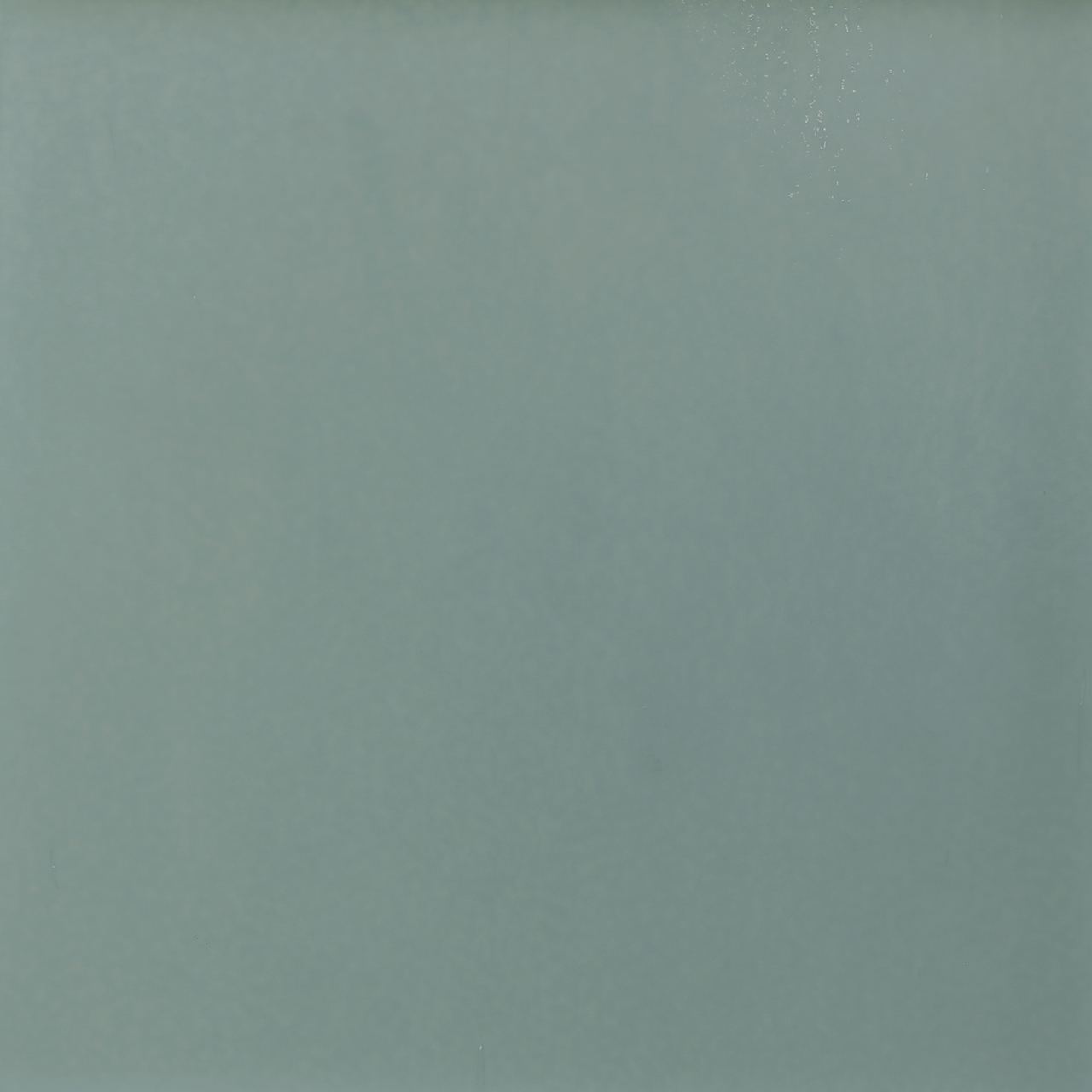 BULLSEYE 0161-30F BULLSEYE 0161-30F