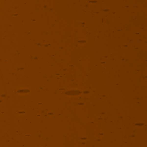 LAMBERTS 863-F LAMBERTS 863-F