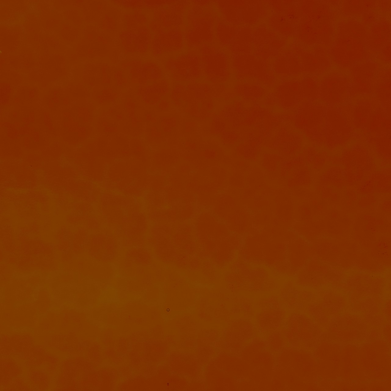 WISSMACH 310XX Mystic