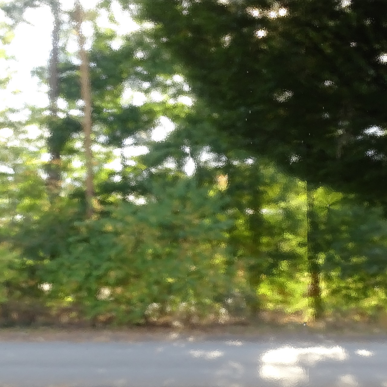 OCEANSIDE Spectrum 100s-ICE-F 3mm RS OCEANSIDE Spectrum 100s-ICE-F 3mm RS